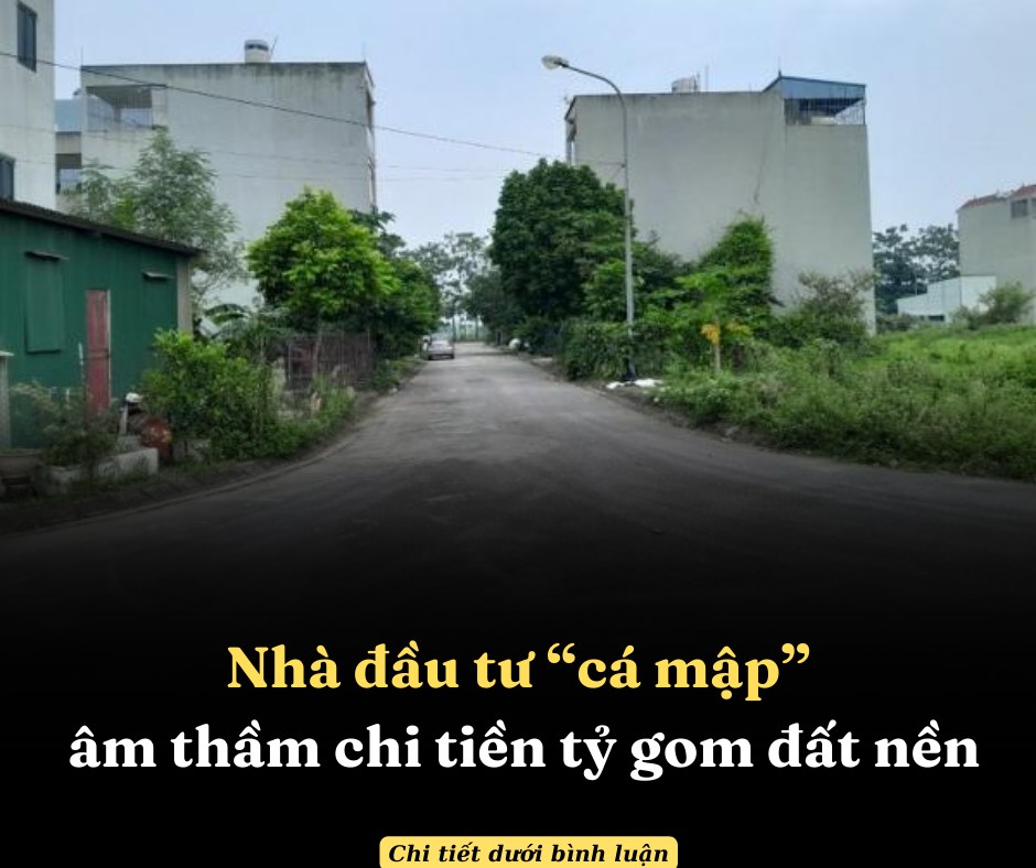 Nhà đầu tư “cá mập” âm thầm chi tiền tỷ gom đất nền