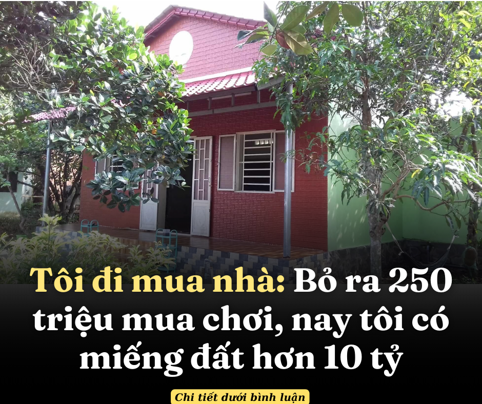 Tôi đi mua nhà: Bỏ ra 250 triệu mua chơi, nay tôi có miếng đất hơn 10 tỷ