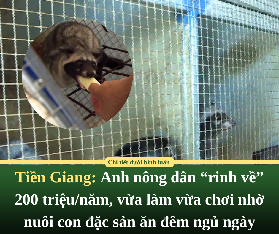 Tiền Giang: Anh nông dân “rinh về” 200 triệu/năm, vừa làm vừa chơi nhờ nuôi con đặc sản ăn đêm ngủ ngày