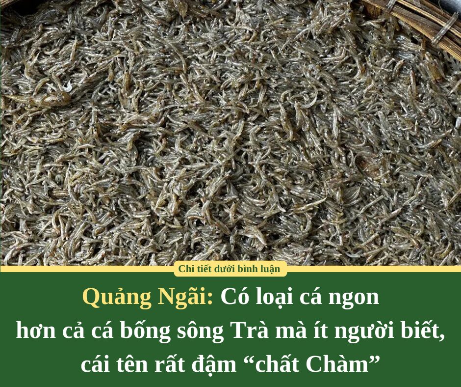 Ở Quảng Ngãi có loại cá ngon hơn cả cá bống sông Trà mà ít người biết, cái tên rất đậm “chất Chàm”