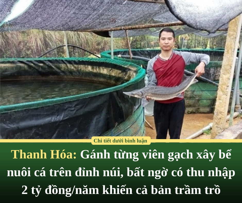 Thanh Hóa: Gánh từng viên gạch xây bể nuôi cá trên đỉnh núi, bất ngờ có thu nhập 2 tỷ đồng/năm khiến cả bản trầm trồ