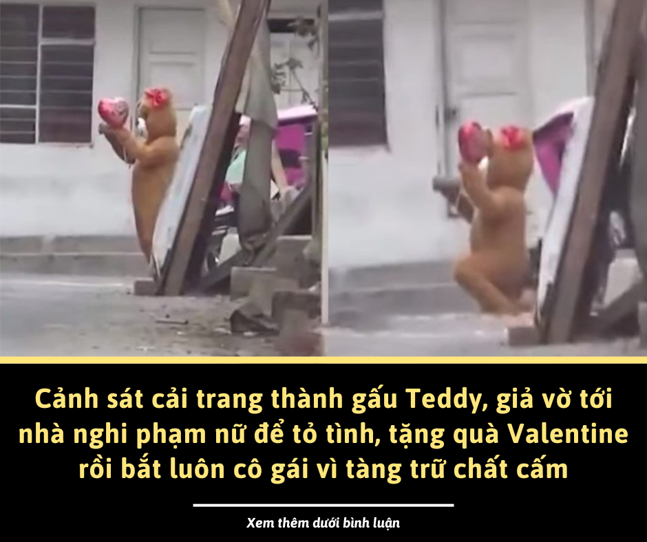 Cảnh sát vờ tỏ tình, tặng quà Valentine để bắt tội phạm