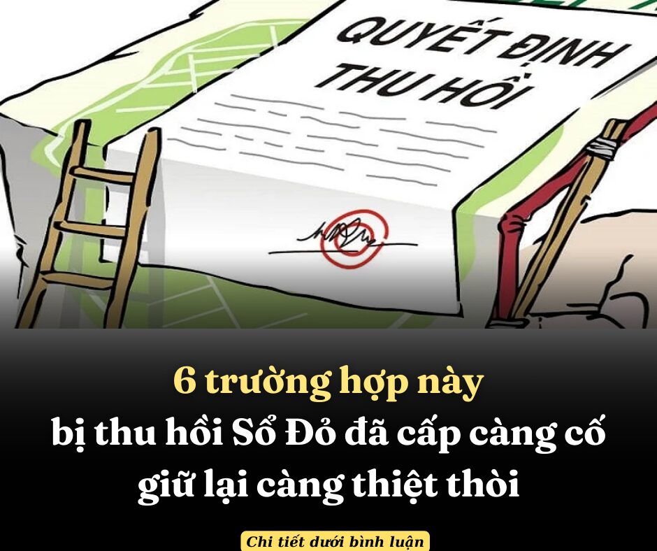 Năm 2024-2025: 6 trường hợp này bị thu hồi Sổ Đỏ đã cấp càng cố giữ lại càng thiệt thòi