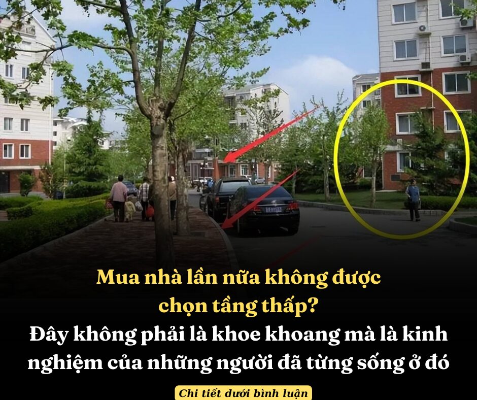 Mua nhà lần nữa không được chọn tầng thấp, đây không phải là khoe khoang mà là kinh nghiệm của những người đã từng sống ở đó