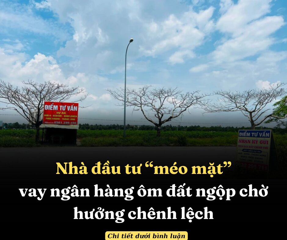 Nhà đầu tư “méo mặt”  vay ngân hàng ôm đất ngộp chờ hưởng chênh lệch