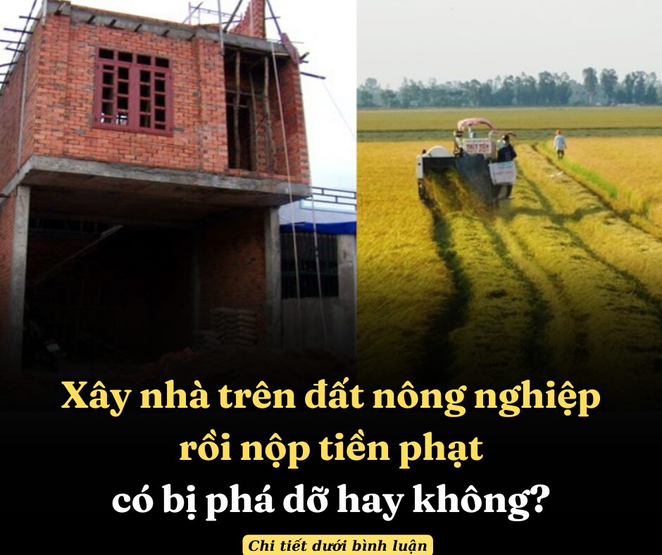 Xây nhà trên đất nông nghiệp rồi nộp tiền phạt có bị phá dỡ hay không?