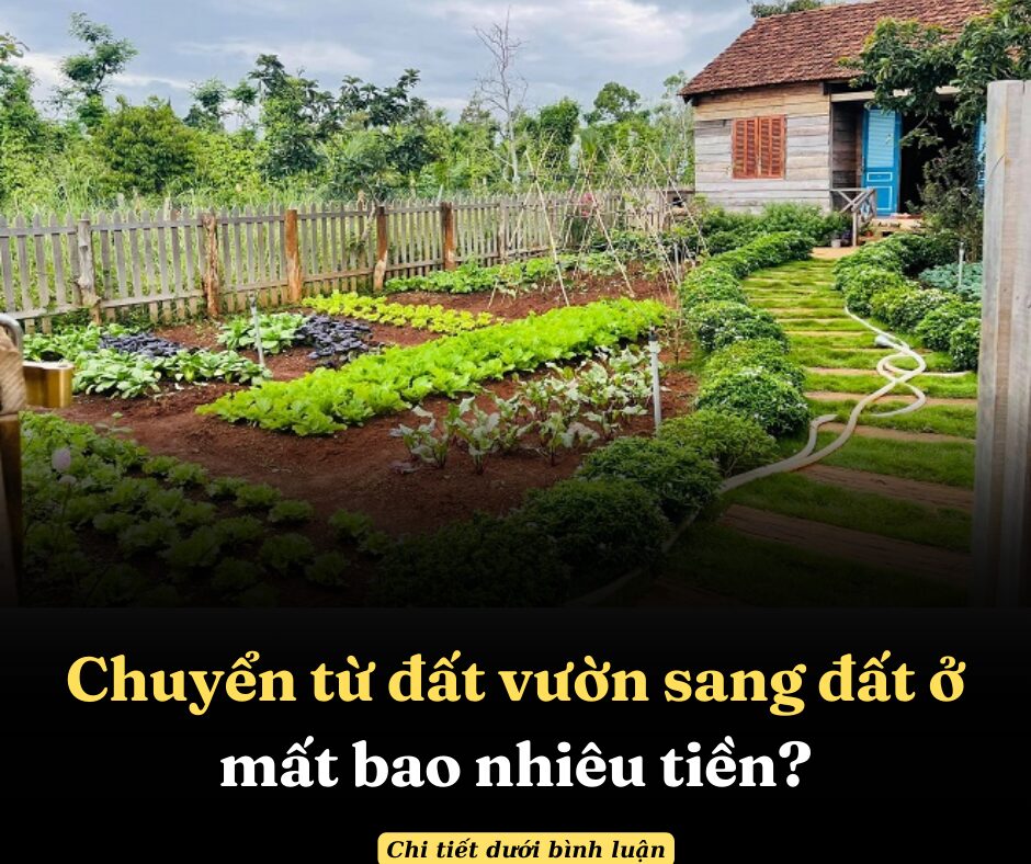 Chuyển từ đất vườn sang đất ở mất bao nhiêu tiền?