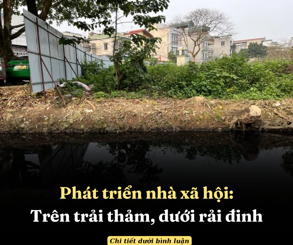 Phát triển nhà xã hội: Trên trải thảm, dưới rải đinh