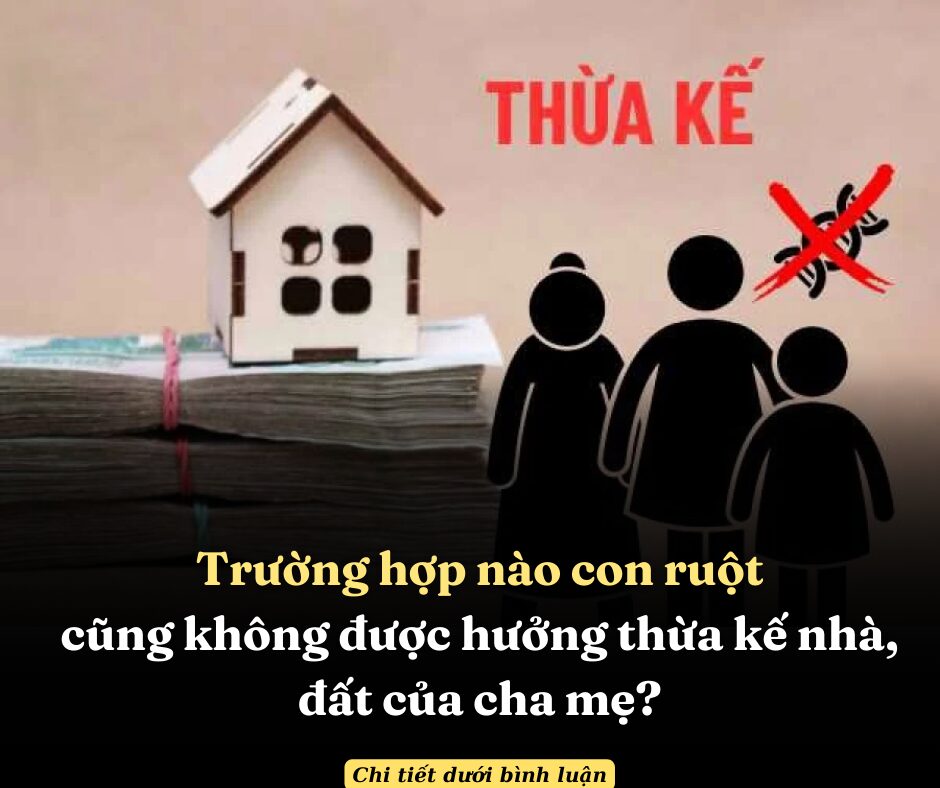 Trường hợp nào con ruột cũng không được hưởng thừa kế nhà, đất của cha mẹ?