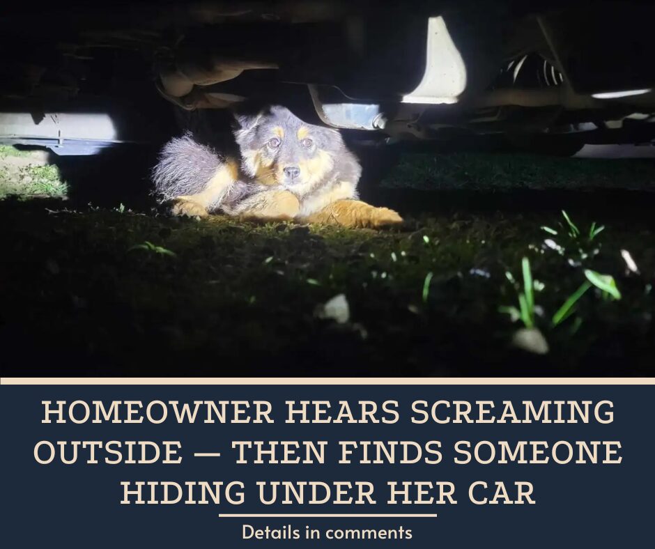 Homeowner Hears Screaming Outside — Then Finds Someone Hiding Under Her Car