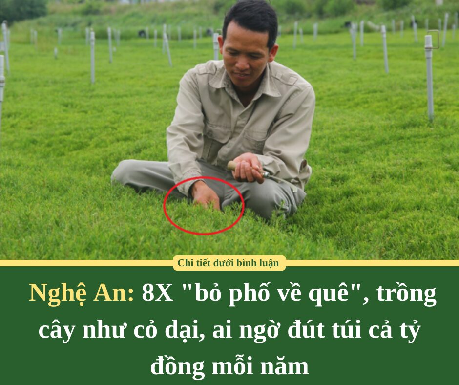 8X “bỏ phố về quê”, trồng cây như cỏ dại: Ai ngờ đút túi cả tỷ đồng mỗi năm