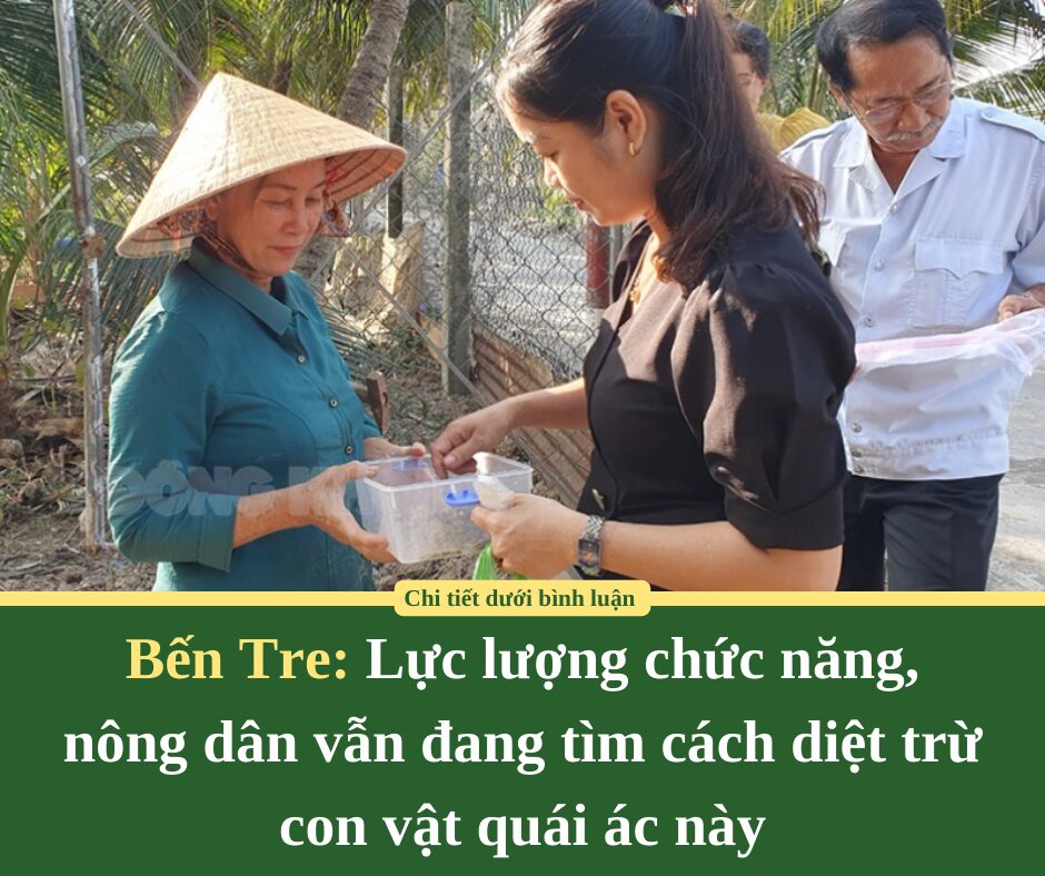 Bến Tre: Lực lượng chức năng,  nông dân vẫn đang tìm cách diệt trừ con vật quái ác này