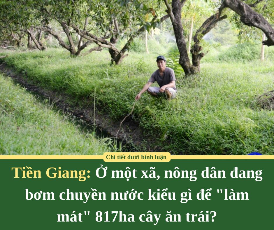 Ở một xã của Tiền Giang, nông dân đang bơm chuyền nước kiểu gì để “làm mát” 817ha cây ăn trái?