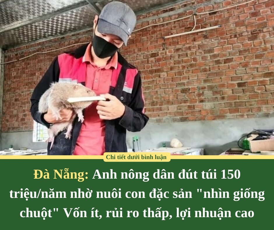 Anh nông dân đút túi 150 triệu/năm nhờ nuôi con đặc sản “nhìn giống chuột” : Vốn ít, rủi ro thấp, lợi nhuận cao