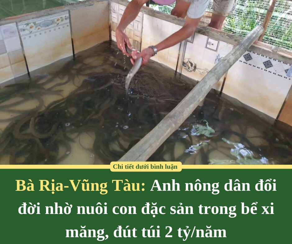 Anh nông dân đổi đời nhờ nuôi con đặc sản trong bể xi măng, đút túi 2 tỷ/năm