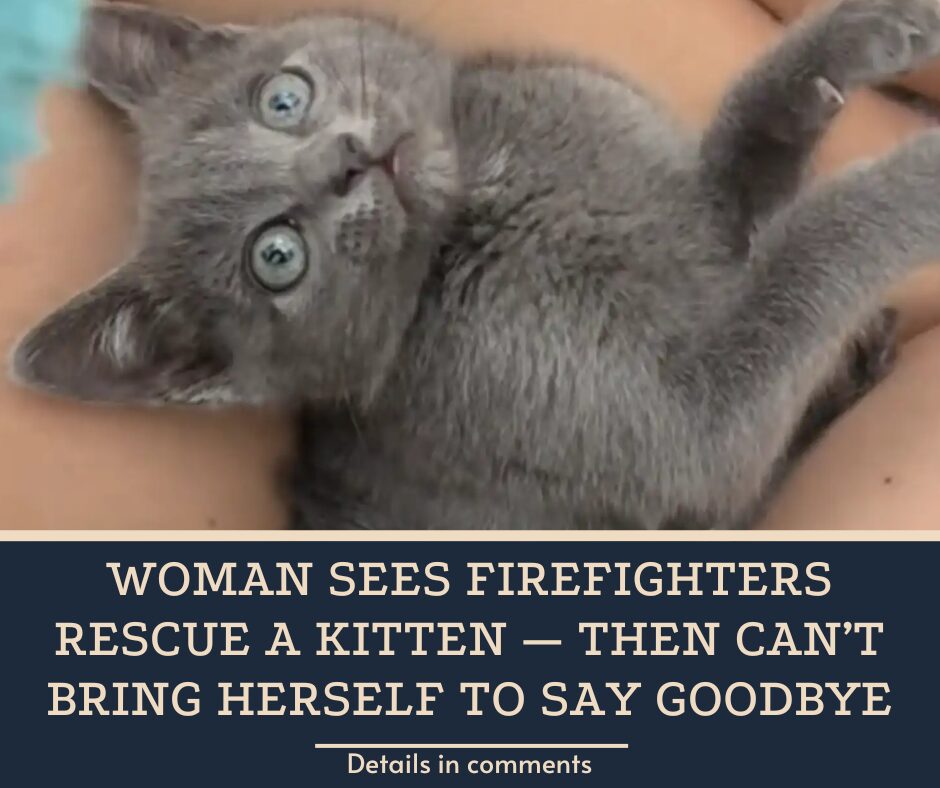 Woman Sees Firefighters Rescue A Kitten — Then Can’t Bring Herself To Say Goodbye