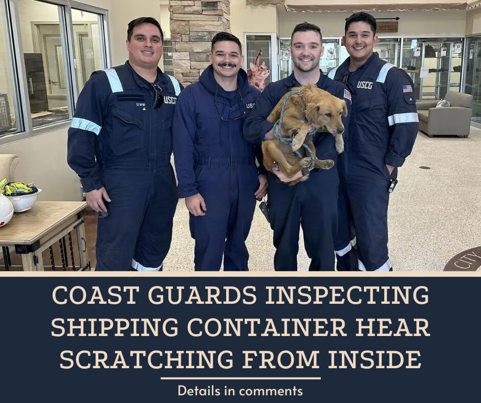 Coast Guards Inspecting Shipping Container Hear Scratching From Inside