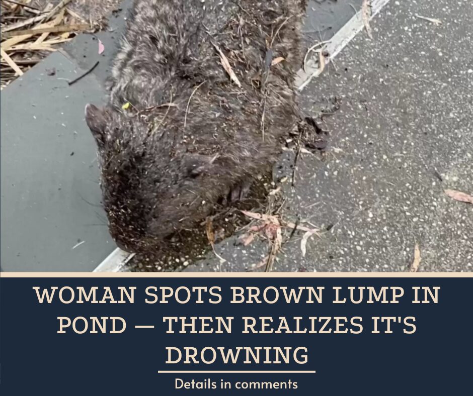 Woman Spots Brown Lump In Pond — Then Realizes It’s Drowning