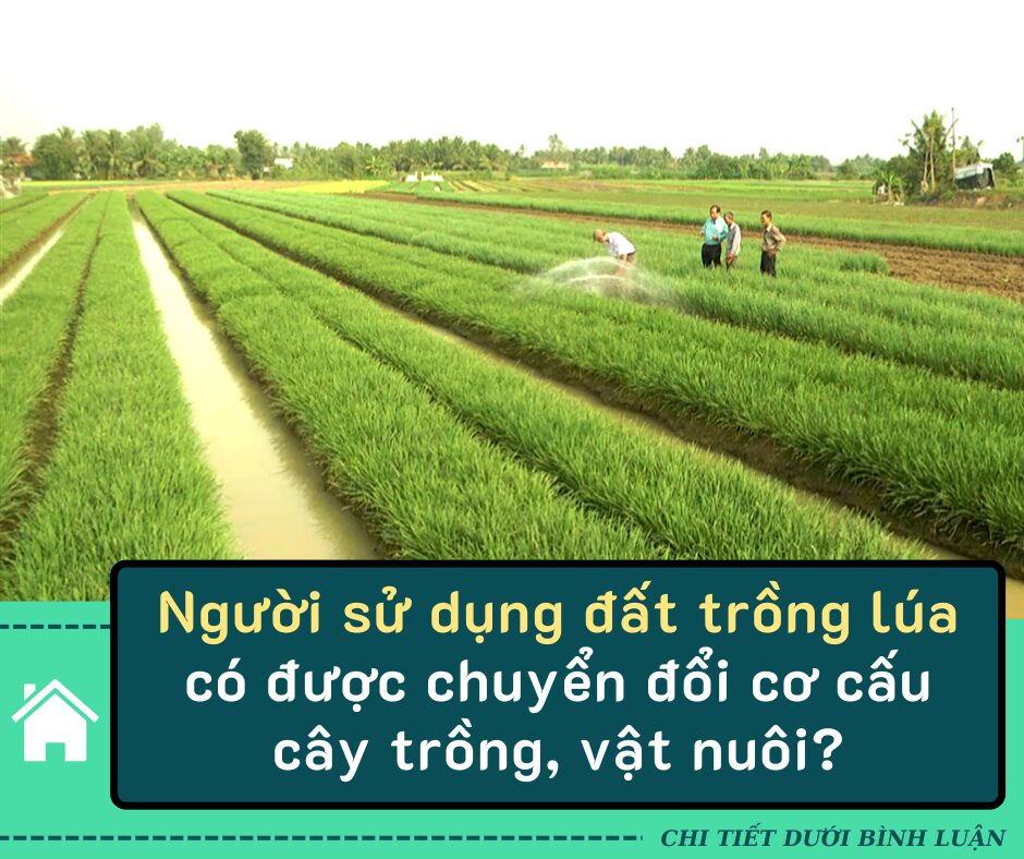 Sau khi “bước xuống giường”nếu đàn ông nói 3 câu tưởng chừng bâng quơ này nhưng thể hiện anh ta chưa từng yêu bạn