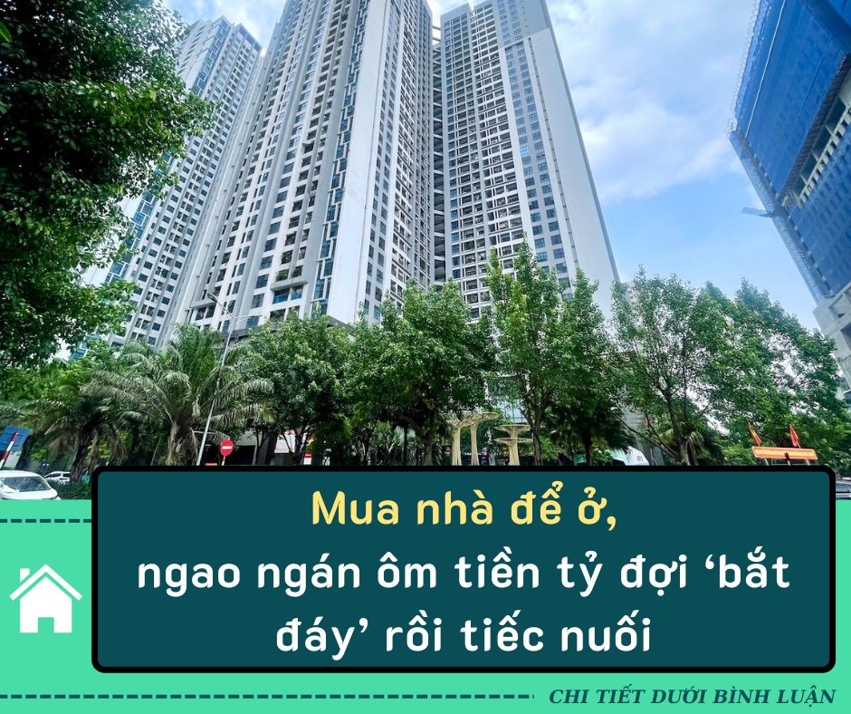 Mua nhà để ở, ngao ngán ôm tiền tỷ đợi ‘bắt đáy’ rồi tiếc nuối