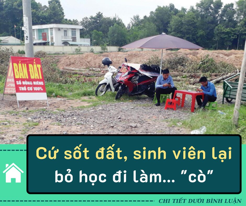 Cứ sốt đất, sinh viên lại bỏ học đi làm… “cò”