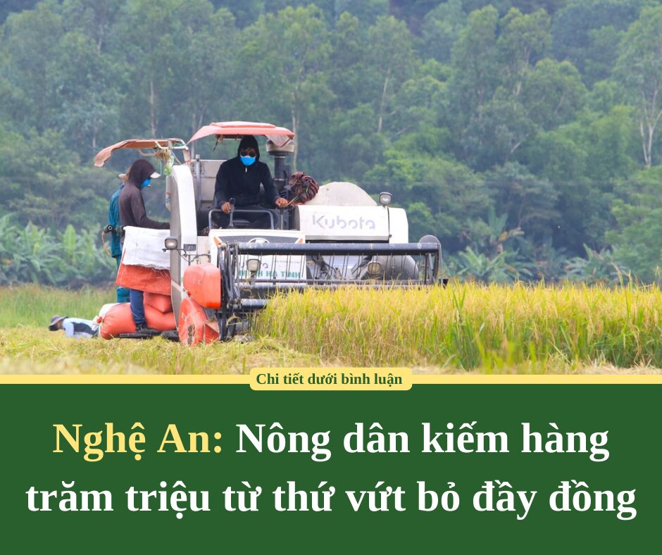 5 dấu hiệu cho thấy trong mắt nửa kia, bạn chỉ là một công cụ giải tỏa các nhu cầu về thể xác