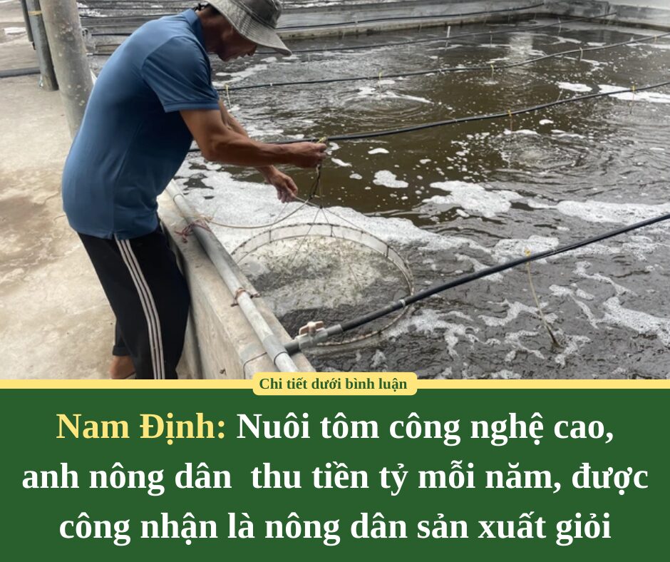 Nuôi tôm công nghệ cao, anh nông dân Nam Định thu tiền tỷ mỗi năm, được công nhận là nông dân sản xuất giỏi