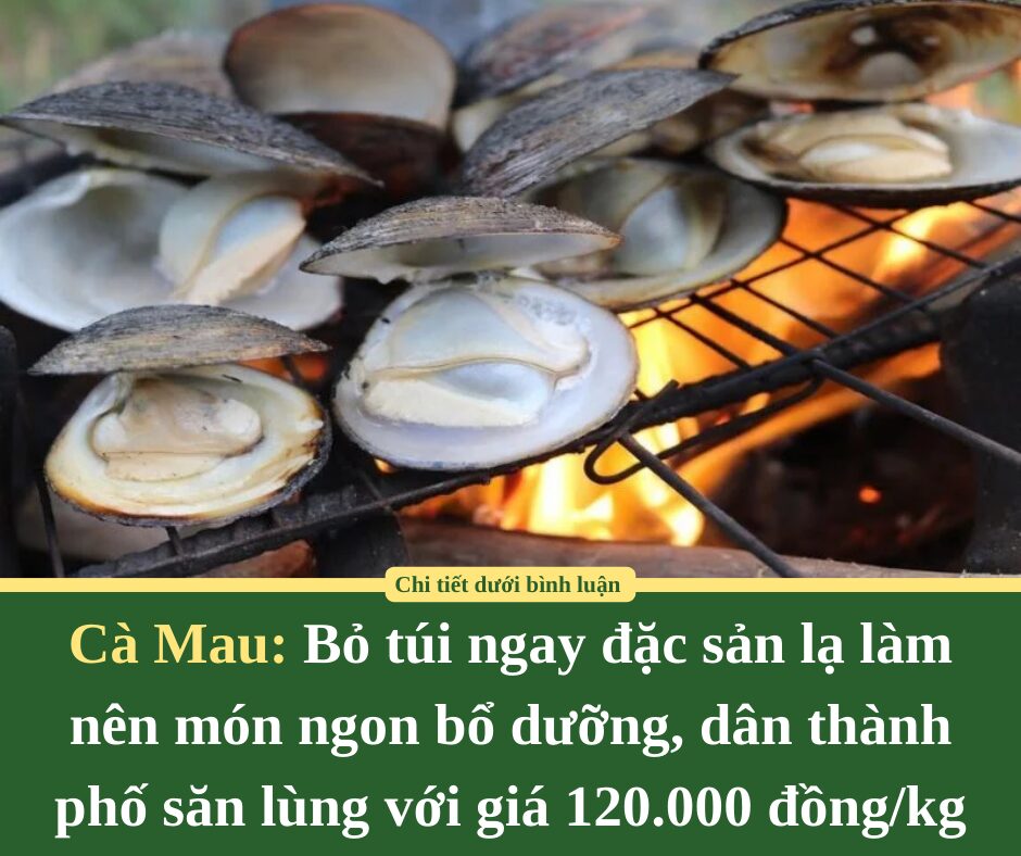 Bỏ túi ngay đặc sản lạ làm nên món ngon bổ dưỡng, dân thành phố săn lùng với giá 120.000 đồng/kg