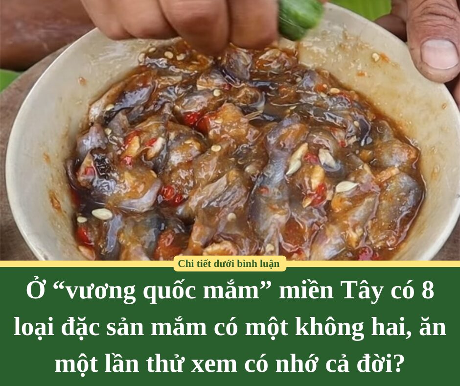 Ở “vương quốc mắm” miền Tây có 8 loại đặc sản mắm có một không hai, ăn một lần thử xem có nhớ cả đời?