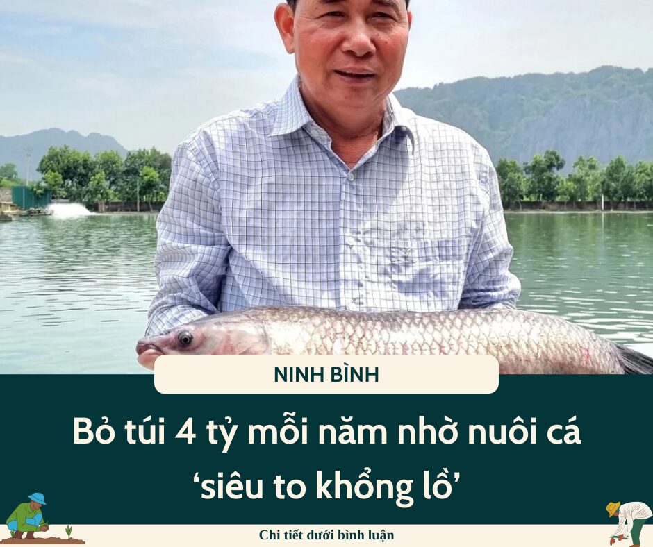 Bỏ túi 4 tỷ mỗi năm nhờ nuôi cá ‘siêu to khổng lồ’: Bí quyết thành công của anh nông dân Ninh Bình